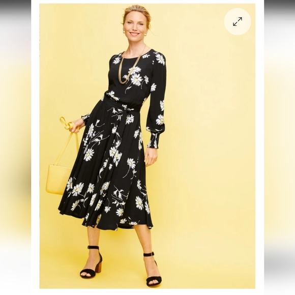 NWT Talbots Daisy Floral Print Fit & Flare Midi Dress Size 16, Classic Ret. $149 - Picture 2 of 12